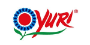 logo brand