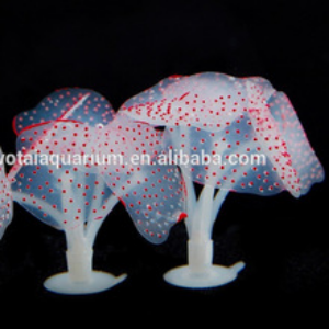product pict
